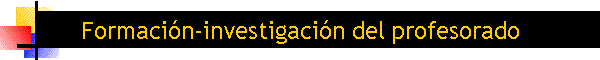 Formaci�n-investigaci�n del profesorado